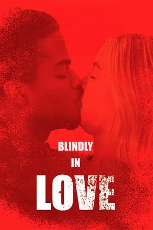 Blindly in Love (2025) WEBRIP Hindi (MULTI AUDIO) 720p – 480p – 1080p